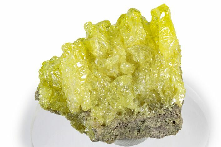 Bright-Yellow Sulfur Crystals - Bolivia #305247